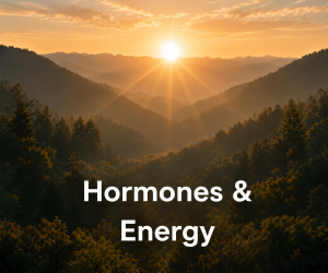 hormones & energy